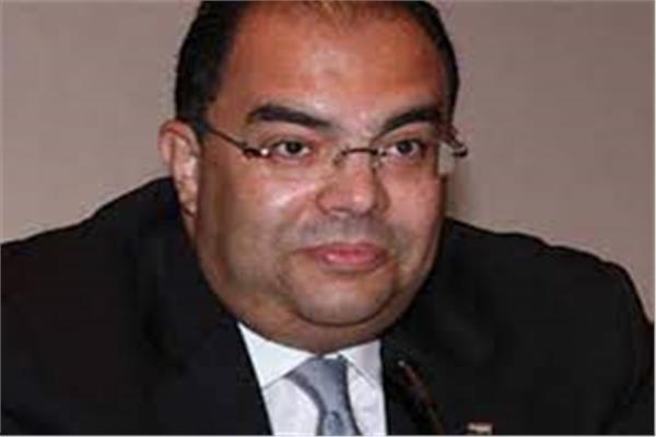  الدكتور محمود محيي الدين