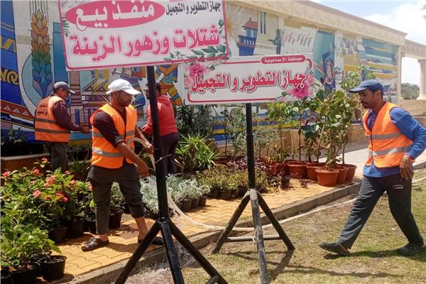معارض للزهور في ميادين وشوارع الاسماعيلية