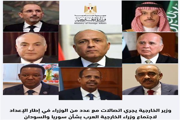 سامح شكري وعدد من الوزراء 