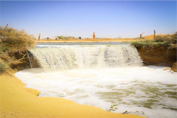 صورة موضوعية