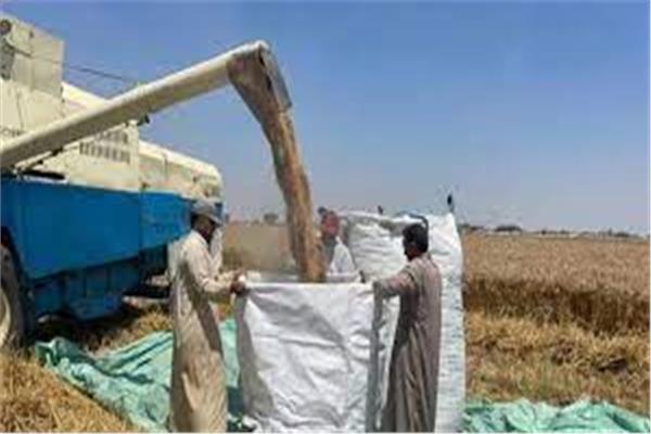 صورة موضوعية