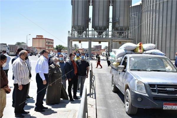 توريد 265 ألف و 590 طنامن  القمح لصوامع وشون الشرقية