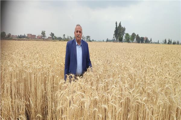 الدكتور خالد على أبوشادي، وكيل وزارة الزراعة بالغربية