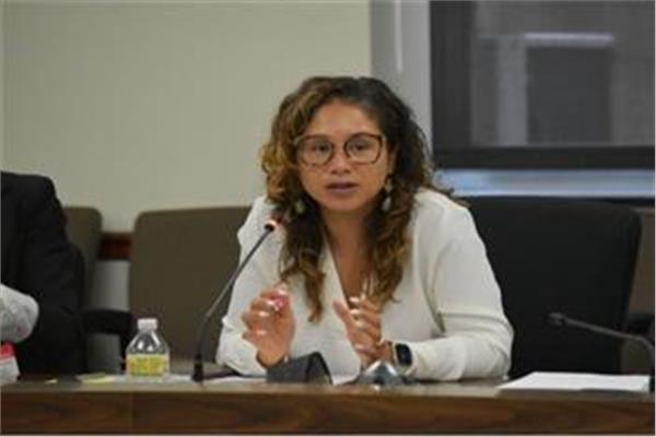 ديزيريه كورمير، الممثلة الخاصة للمساواة