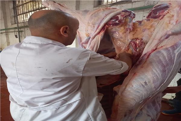 متابعة  أعمال مجازر المحافظة