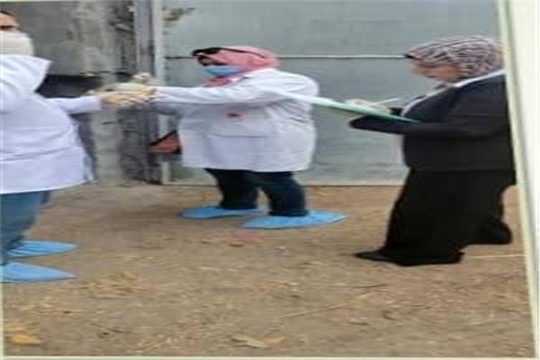 صورة موضوعية