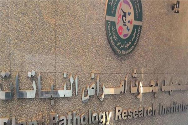  معهد بحوث أمراض النباتات