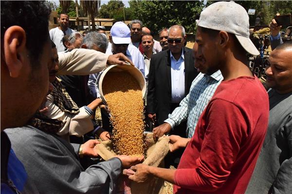 محافظ أسيوط: توريد 34 ألف طن قمح وصرف 10 كيلو نخالة لكل اردب مورد