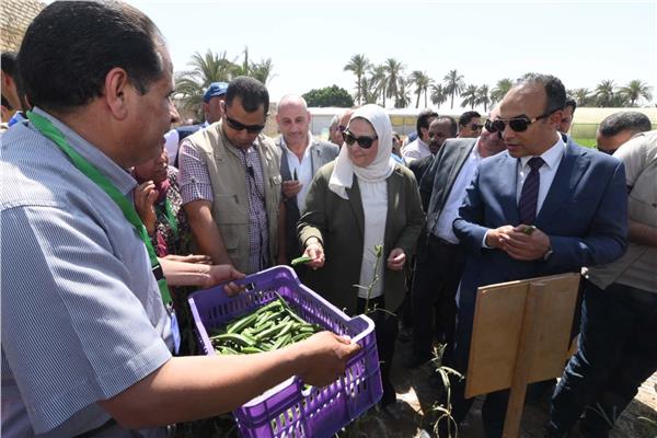 وزيرة التضامن الاجتماعي
