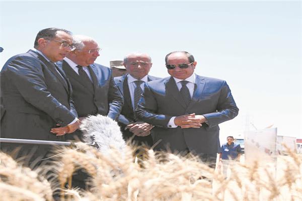 الرئيس عبد الفتاح السيسي خلال جولة سابقة فى أحد المشروعات