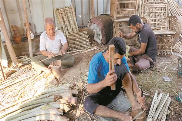 أبناء شنوان ومهارة  صناعة منتجات الجريد