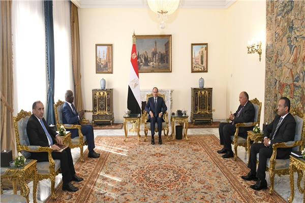 الرئيس السيسي خلال اللقاء