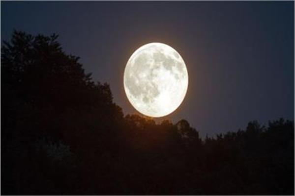 صورة موضوعية