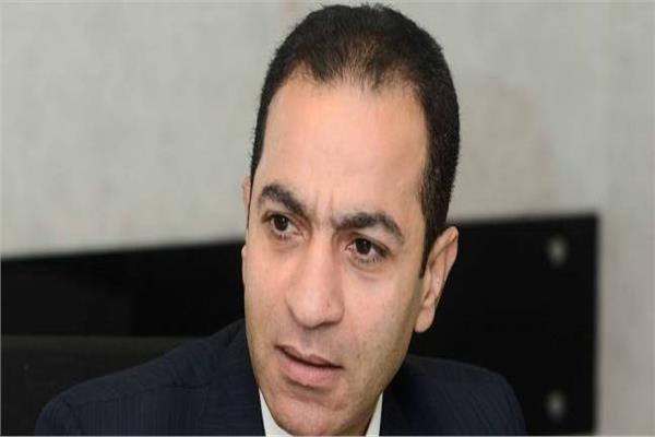 الدكتور هشام إبراهيم أستاذ التمويل والاستثمار بجامعة القاهرة