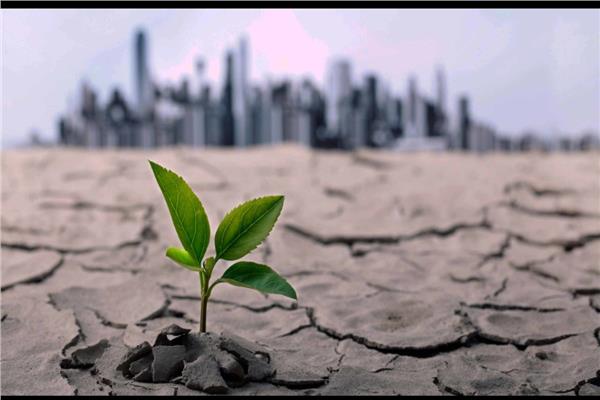 إرتفاع درجة حرارة سطح الأرض