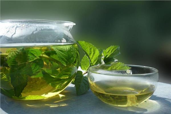 مشروع النعناع - أرشيفية