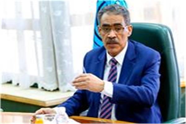 ضياء رشوان، المنسق العام للحوار الوطني