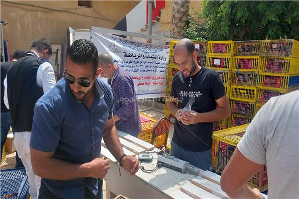 انطلاق سباقات الحمام الزاجل بالغربية بمشاركة 3000 حمامة و140 متسابق 