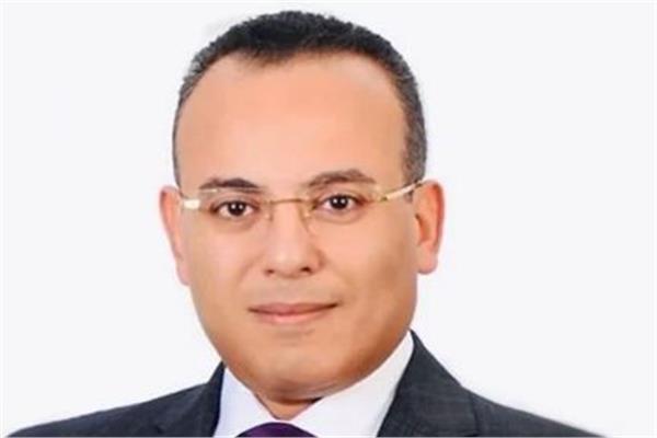 المستشار أحمد فهمي