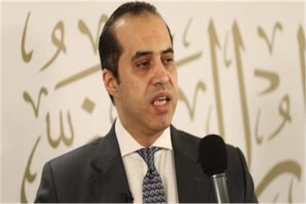  المستشار محمود فوزي