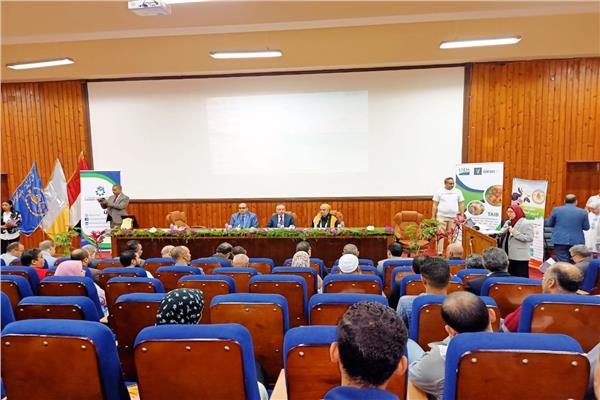 الراس الرومي لينافس في الأسواق العالمية بزراعة الإسكندرية 