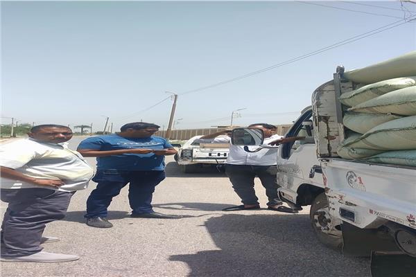 القمح المضبوط