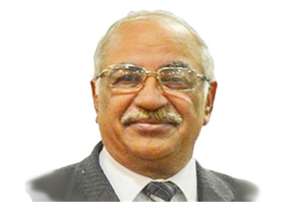الكاتب أحمد فؤاد الهادي 