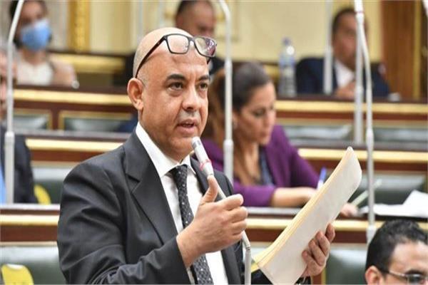 النائب عمرو هندى