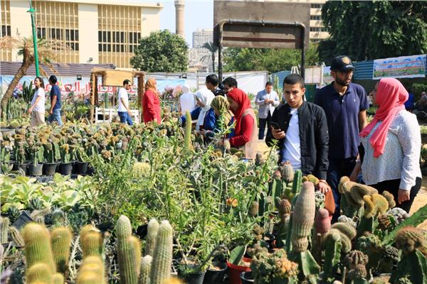 معرض الزهور 2023