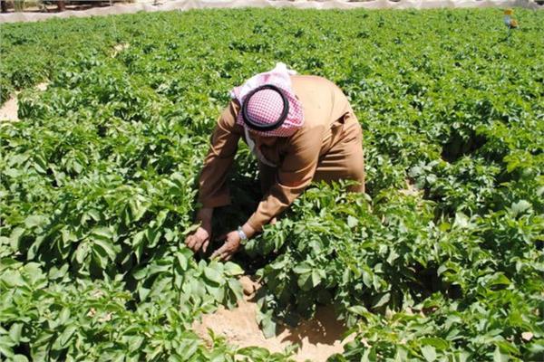 صورة موضوعية