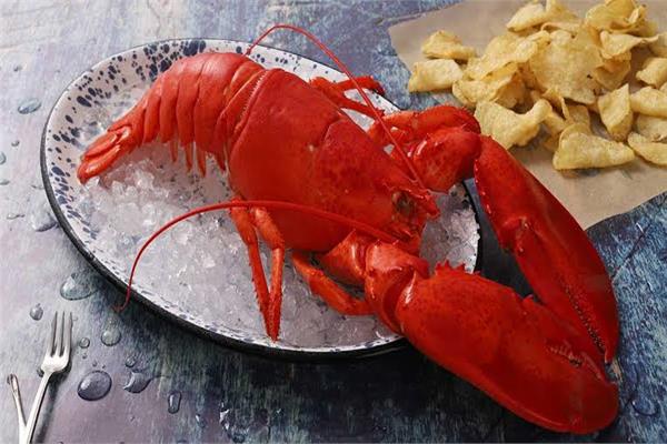 أتيكيت تناول الاستاكوزا خارج المنزل 