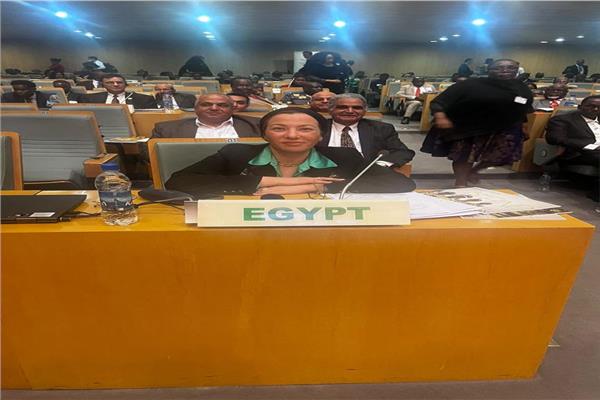 الدكتورة ياسمين فؤاد