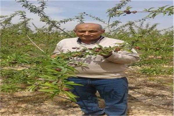 المهندس جمعة محمد عطا الخبير الزراعى