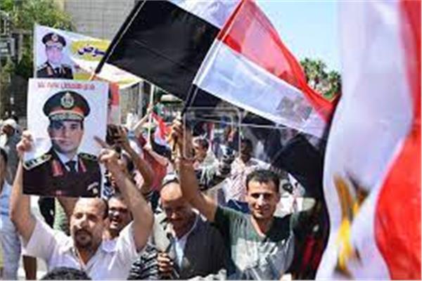 ثورة 30 يونيو