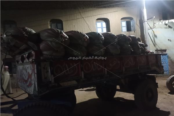 صورة للقمح المضبوط