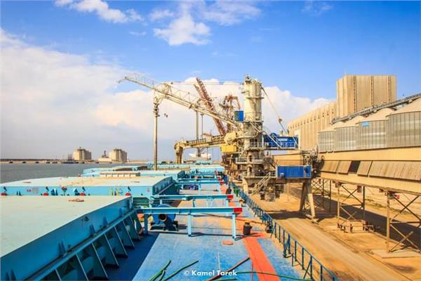 ميناء دمياط تستقبل 14.5 طن ذرة و شعير و 1318 راس ماشية ( عجول تسمين ) 