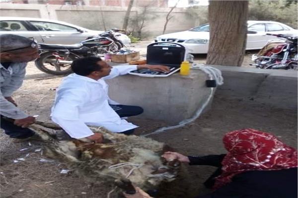 صورة موضوعية للحدث