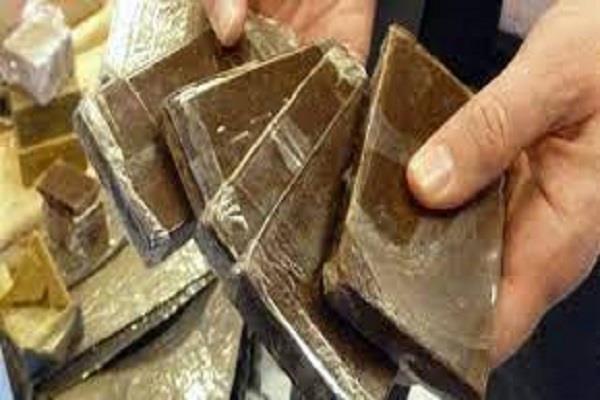موضوعية