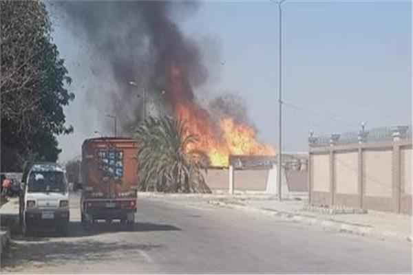 موضوعية