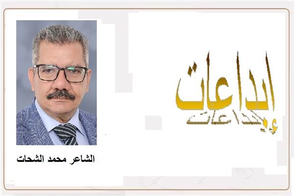 ارشيفية