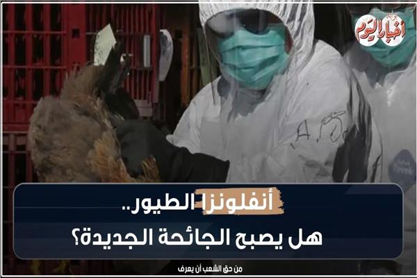 انفلونزا الطيور
