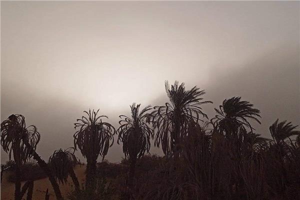 صورة موضوعية
