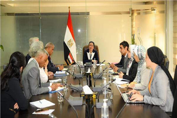 وزيرة البيئة تناقش مع منظمة الفاو سبل التعاون في مشروعات تغير المناخ 