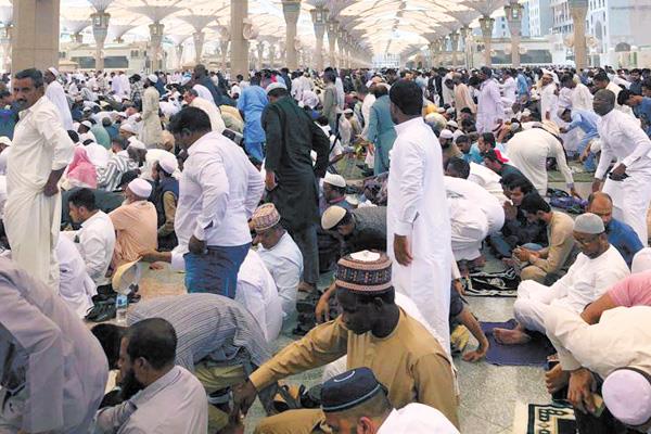 تفويج الحجاج المصريين للمدينة المنورة