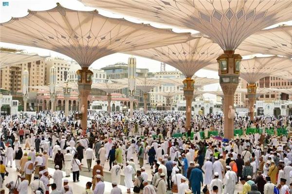 صورة من المشاعر المقدسة
