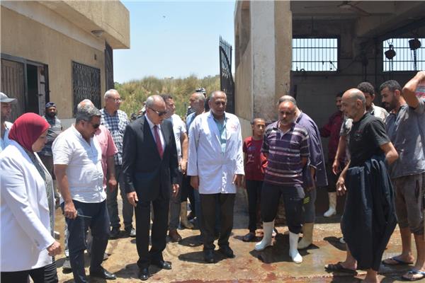 مجزر كفر سعد بمدينة بنها