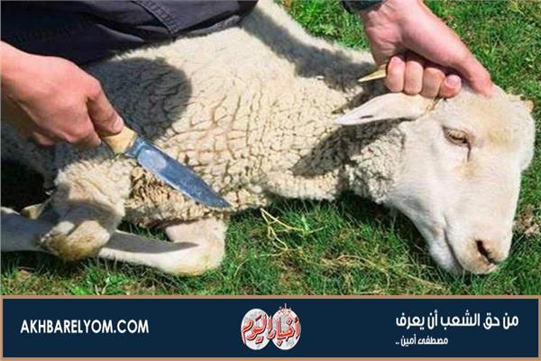 ذبح الأضاحي