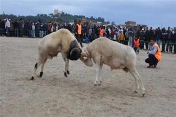 صورة تعبيرية