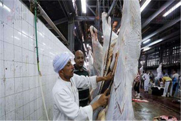 صورة موضوعية