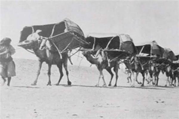صورة موضوعية